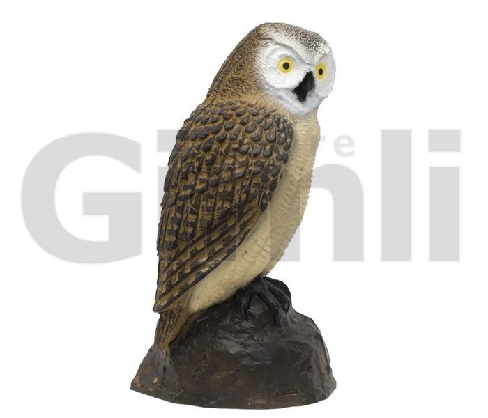 SRT Target 3D Little Screech Owl